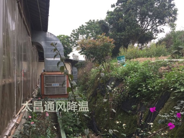 餐廳太熱？環(huán)保空調為你送清風